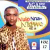 BRO ISRAEL ANYANELE & AGAPE LOVE BAND INT'L - N'ulo Nnam Nigwe - Vol 12